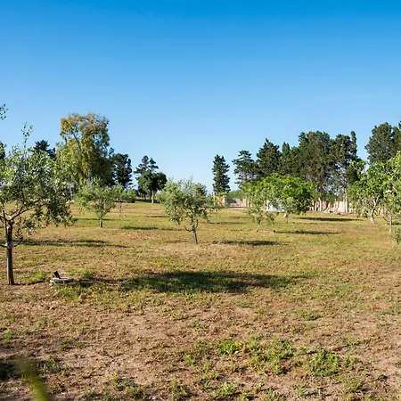 The Cube - Modern In Salento *