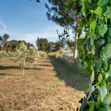 The Cube - Modern In Salento *
