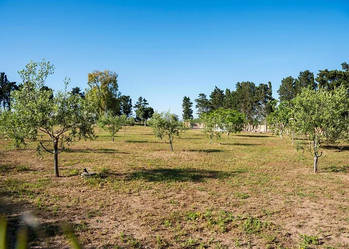 The Cube - Modern In Salento *