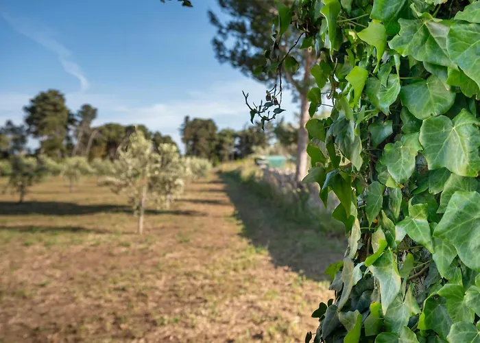 The Cube - Modern In Salento *